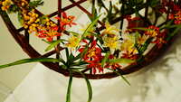 https://images.plurk.com/3MqAExqGFaTTZ05g7xdPoe.jpg