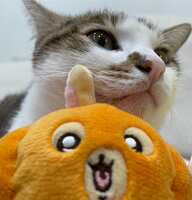 https://images.plurk.com/3MxtGygdZlDOHWfJKnEB09.jpg