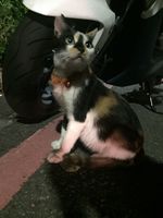 https://images.plurk.com/3N00mJinkRUt2Te2UzdPM8.jpg
