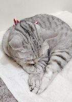 https://images.plurk.com/3N2QxHlwIT1CQhxqcb2p7k.jpg
