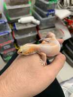 https://images.plurk.com/3N7tlgrm7gUCxZg0HlR7RT.jpg