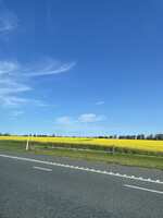 https://images.plurk.com/3NIbxCW4j5Qwba82LI4jpW.jpg