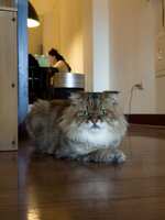 https://images.plurk.com/3NVAWStdtPePIeAOiu9Vdj.jpg