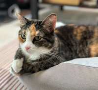 https://images.plurk.com/3NXfYDns6xwyi0ze5licX1.jpg