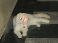 https://images.plurk.com/3NYSLEmWKt2AgqDfwZ9c0Z.jpg