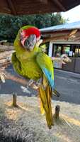 https://images.plurk.com/3O9qLD5bP6WBNSEJeLjZ5D.jpg