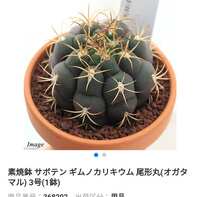 https://images.plurk.com/3OCoaKpJ1CAkdAxlr4rBUU.jpg