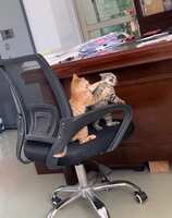 https://images.plurk.com/3OMBrgbFooYAQMlytobirf.jpg