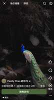 https://images.plurk.com/3OUQBUK8RozZx9OgctuNMc.jpg