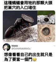 https://images.plurk.com/3OWKKWnF4W90vfmbmgfADm.jpg