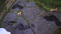 https://images.plurk.com/3OZSuyaLbjoCTEn0e3Msyj.jpg