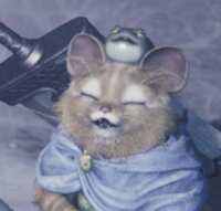 https://images.plurk.com/3Ob0JZyghbMTdXSw2QXiYE.png