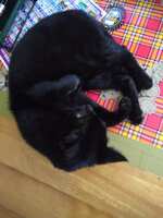 https://images.plurk.com/3ObQqIURHjwHguIq6qtwmU.jpg