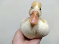 https://images.plurk.com/3OdIHOk8eDwOCUMkTEP1c3.jpg