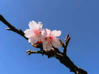 https://images.plurk.com/3OdIp6P89ogaz2x189iQIl.jpg