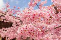 https://images.plurk.com/3OeS5dsY6St4B3dOhoCrHu.jpg