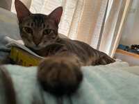 https://images.plurk.com/3OfHKLmCc6Q6ALLKjd9MRS.jpg