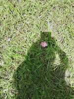 https://images.plurk.com/3OrCP5AcAG8MZ9XTgUpfg7.jpg