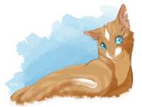 https://images.plurk.com/3OrLL1sEaO6W76tLXeanOk.png