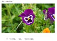 https://images.plurk.com/3OvnxtIBPI2dJfswhn0g5A.png