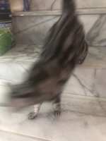 https://images.plurk.com/3OzMjgFYqdI8Yhpn7dPiWc.jpg