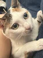 https://images.plurk.com/3P0UAXpUkbxfbJLrZYflsO.jpg