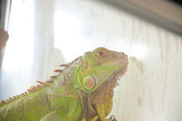 https://images.plurk.com/3P7RXSesECYgx7UiuK2XtR.jpg