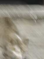 https://images.plurk.com/3P7UB0GmH0d15iikJBxGsi.jpg