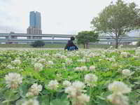 https://images.plurk.com/3PH7k7kNSTxt8bc3MpyqFU.jpg