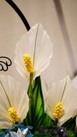 https://images.plurk.com/3PN8U2FwoEV716HCyvKXfE.jpg