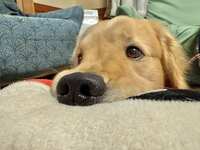 https://images.plurk.com/3PREZftSx4NwrHGpc0NblV.jpg