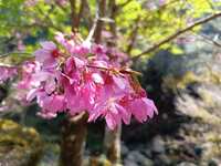 https://images.plurk.com/3PSFMFAgR1Ppwzltqllp8n.jpg