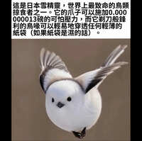 https://images.plurk.com/3PhjBntx6JtfW0uBrx4Vfc.jpg