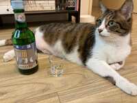https://images.plurk.com/3PlRERNPAW8bnpBVNvnYFq.jpg