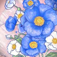 https://images.plurk.com/3PmGP7QEwyQnMouEB46X5g.png