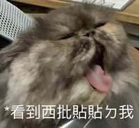 https://images.plurk.com/3Pmvs9eZtmtBLfLirE6Vzt.jpg