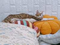 https://images.plurk.com/3PyC4hSxc8FGfngU6kpMZD.jpg