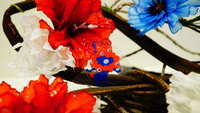 https://images.plurk.com/3Q9kkP6d8JTGAHG9agK5uN.jpg