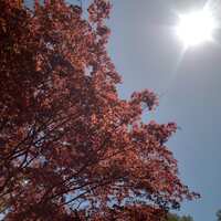 https://images.plurk.com/3QA8PcF2SdUstJiTj0MY0r.jpg