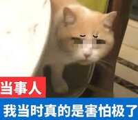 https://images.plurk.com/3QIBO7ikaypBHix6vPTq9w.png