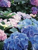 https://images.plurk.com/3QN4r2yNkx7uEFjsmaumtc.jpg
