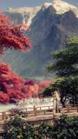 https://images.plurk.com/3QaaEupLu2ae82fsypxTMR.jpg