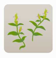 https://images.plurk.com/3QbYSWOzF4aZGX1PSiorns.png