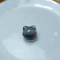 https://images.plurk.com/3QcY1uaMPjI2dZGk5TGXH7.jpg