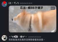 https://images.plurk.com/3QhDc2LvVk3CVH8XYAlkEg.jpg