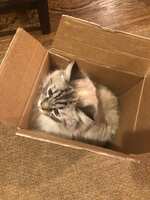https://images.plurk.com/3QstQbaV36p39JJeTcOCnL.jpg