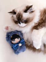 https://images.plurk.com/3R1XI1QkyTcufkjRfmFziL.jpg