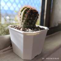 https://images.plurk.com/3RGUXTCsCU9EJaedOOzxp3.jpg