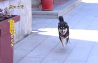 https://images.plurk.com/3RVcxzGljeHVunzP4Ieyyt.jpg