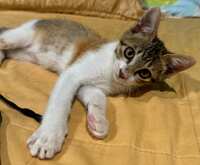 https://images.plurk.com/3RZKtgVeD6JhRs82JzPJDt.jpg